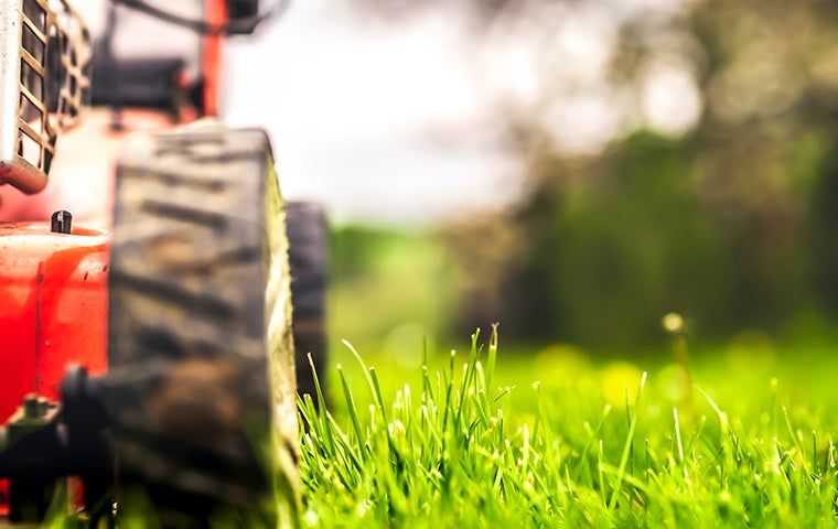 mower in the grass